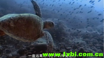 [美国][古巴-意外的伊甸园][BD-R/613M][中字][精彩纪录片]