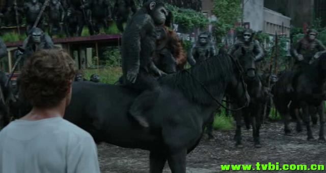 [美国][动作][猩球崛起2：黎明之战 2014][WEB-DL/1.64 GB][英语无字] ...