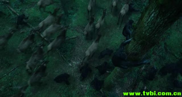 [美国][动作][猩球崛起2：黎明之战 2014][WEB-DL/1.64 GB][英语无字] ...