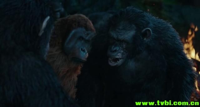 [美国][动作][猩球崛起2：黎明之战 2014][WEB-DL/1.64 GB][英语无字] ...