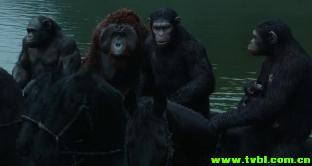 [美国][动作][猩球崛起2：黎明之战 2014][WEB-DL/1.64 GB][英语无字] ...