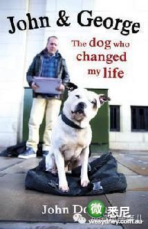 曾经他是一个无恶不作的恶棍，直到一天，一只狗拯救了他