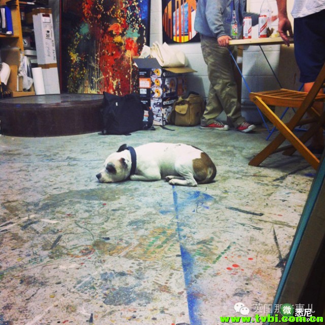 曾经他是一个无恶不作的恶棍，直到一天，一只狗拯救了他