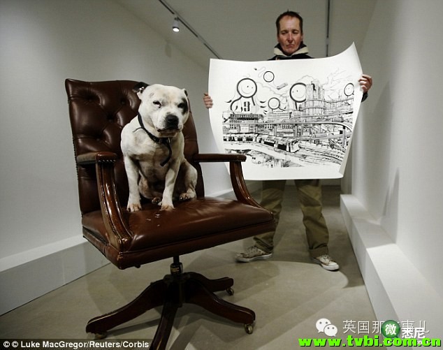 曾经他是一个无恶不作的恶棍，直到一天，一只狗拯救了他