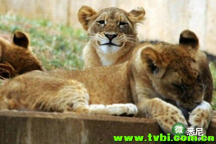 有了孩子后 生活就变成这样了。。笑尿啦！