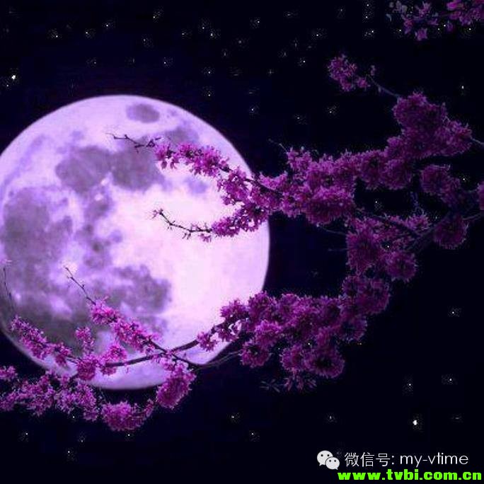 你没有见过的，世界上最美的月亮（超过1000万人转发）