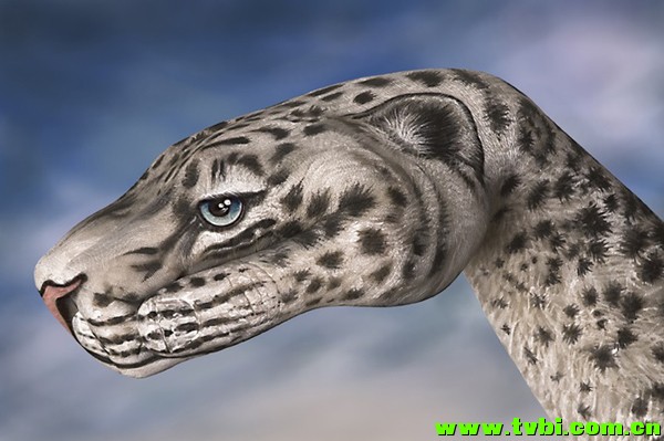 屌爆天的人体彩绘！太厉害了！