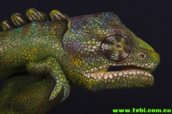 屌爆天的人体彩绘！太厉害了！