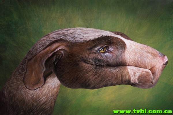 屌爆天的人体彩绘！太厉害了！