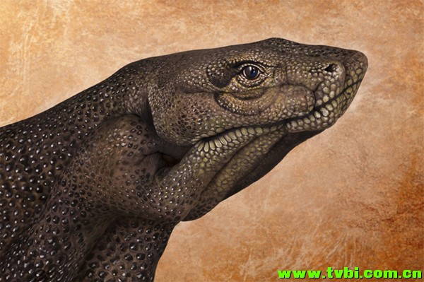 屌爆天的人体彩绘！太厉害了！