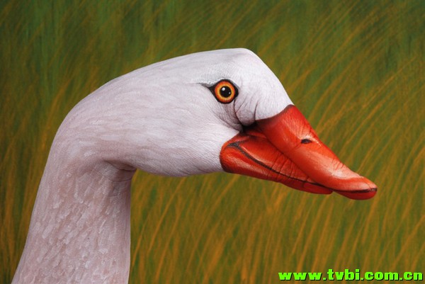 屌爆天的人体彩绘！太厉害了！