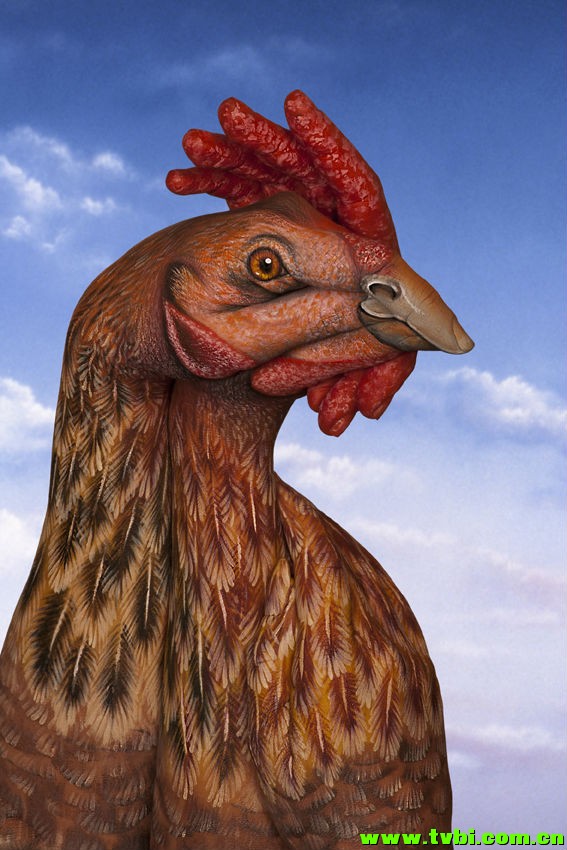 屌爆天的人体彩绘！太厉害了！