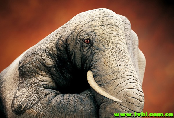 屌爆天的人体彩绘！太厉害了！