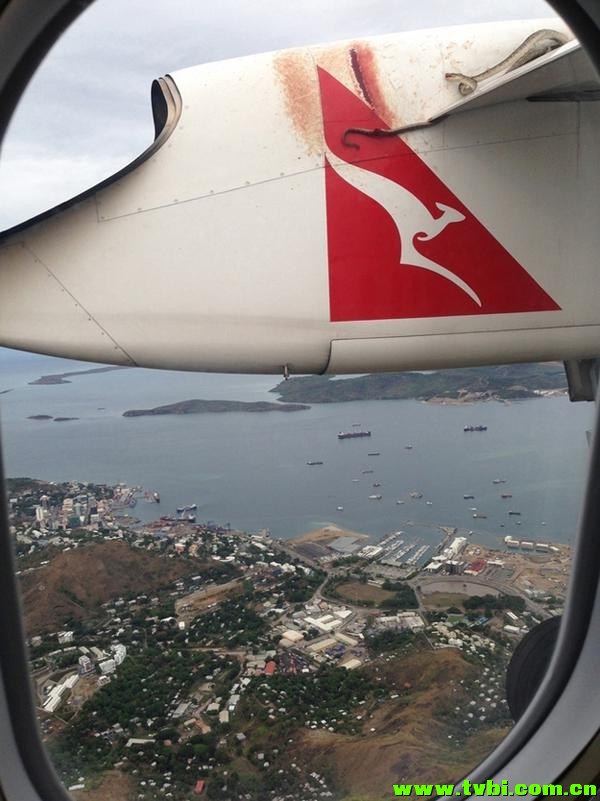 在澳洲能活下来是有多么不容易，你造吗？