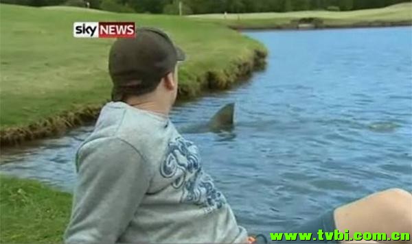 在澳洲能活下来是有多么不容易，你造吗？