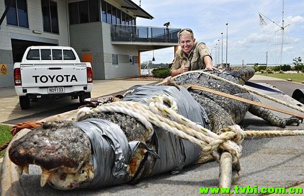 在澳洲能活下来是有多么不容易，你造吗？