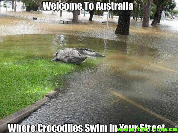 在澳洲能活下来是有多么不容易，你造吗？