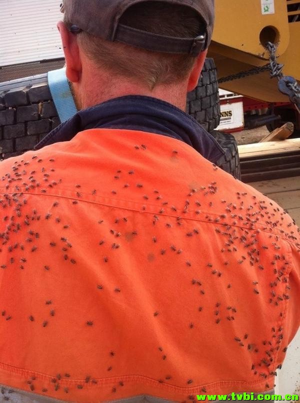 在澳洲能活下来是有多么不容易，你造吗？