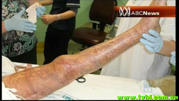 在澳洲能活下来是有多么不容易，你造吗？