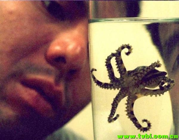 在澳洲能活下来是有多么不容易，你造吗？