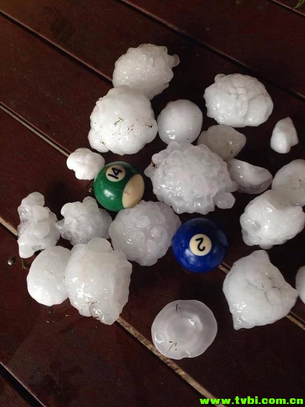 在澳洲能活下来是有多么不容易，你造吗？