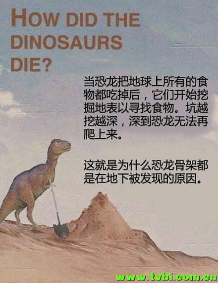 我读书少，你不要骗我！