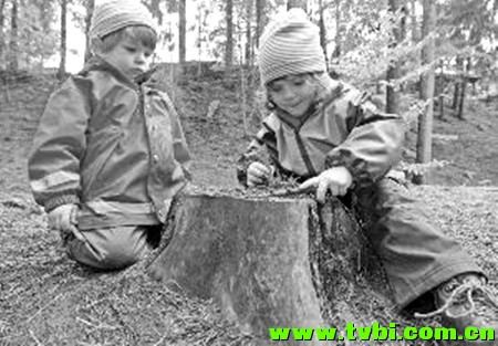 你有必要了解下德国的幼儿园