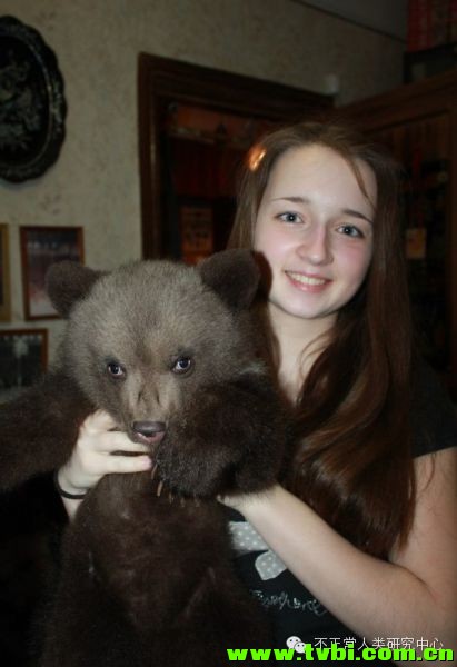 在我们依然小心翼翼遛狗的时候，战斗民族已经在遛熊了……顿时感觉自己气场弱爆了 ...