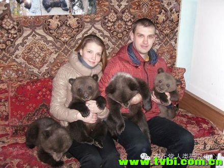 在我们依然小心翼翼遛狗的时候，战斗民族已经在遛熊了……顿时感觉自己气场弱爆了 ...