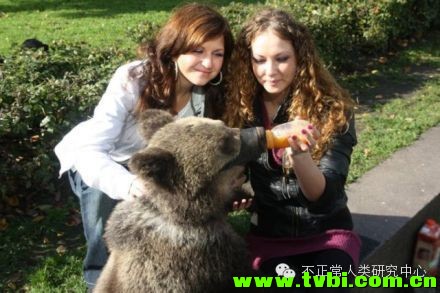 在我们依然小心翼翼遛狗的时候，战斗民族已经在遛熊了……顿时感觉自己气场弱爆了 ...