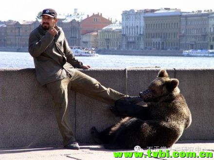 在我们依然小心翼翼遛狗的时候，战斗民族已经在遛熊了……顿时感觉自己气场弱爆了 ...