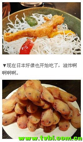 喵汪已经过时，如果你还不知道它那就太out了！