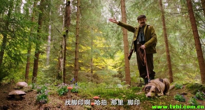 [德国][奇幻][彼得松和芬杜斯：小活宝-忘年交][MP4/1.6G][中字]