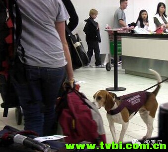 生活在澳洲遇到的十件怪事~澳洲朋友是不是很有感触啊~