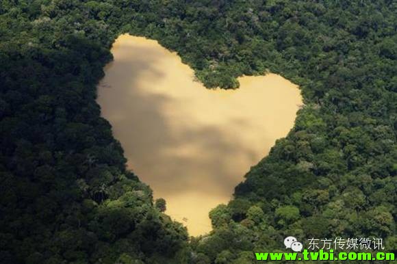 澳洲空气居然也有“毒”，每年致死逾3000人！