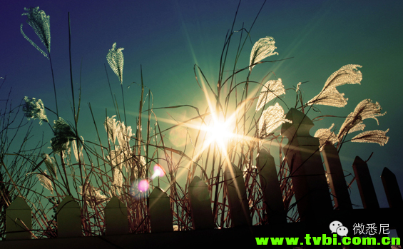 【呵呵呵】不是人家装逼，只是我们太Low