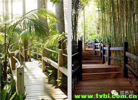 你绝对不知道澳洲还有这些酒店！！隐蔽而又奢华！高大上必看！ ...